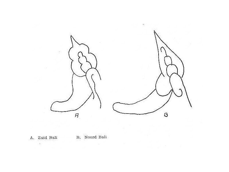 n-s.balines, ear jewels